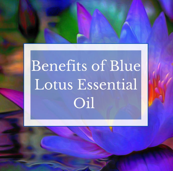 What are the Benefits of Using Blue Lotus Essential Oil?