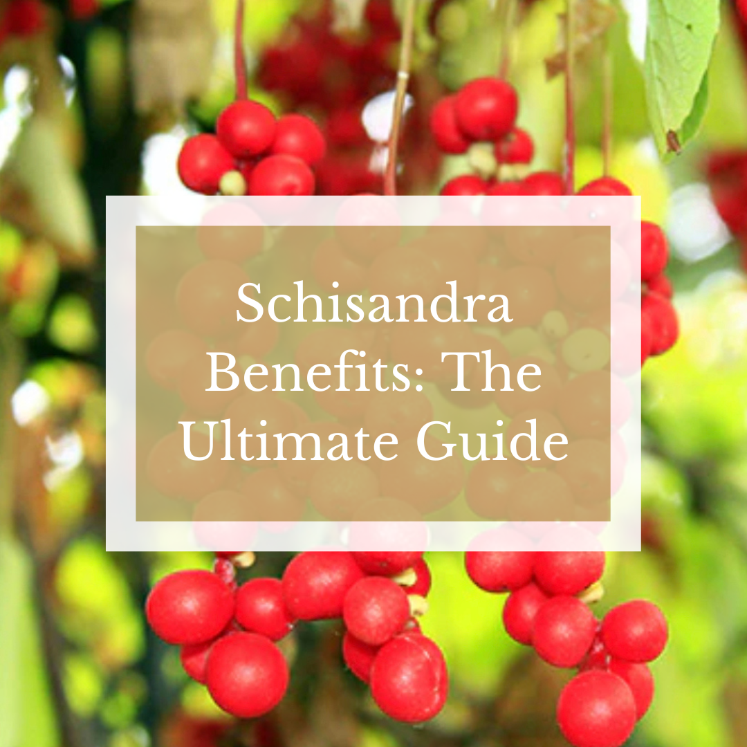Schisandra Extract Benefits: The Ultimate Guide