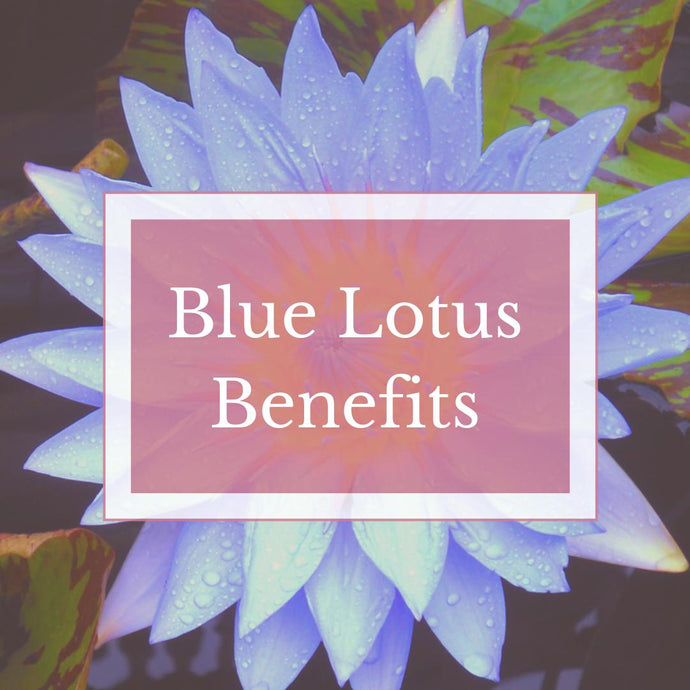 Blue Lotus Benefits