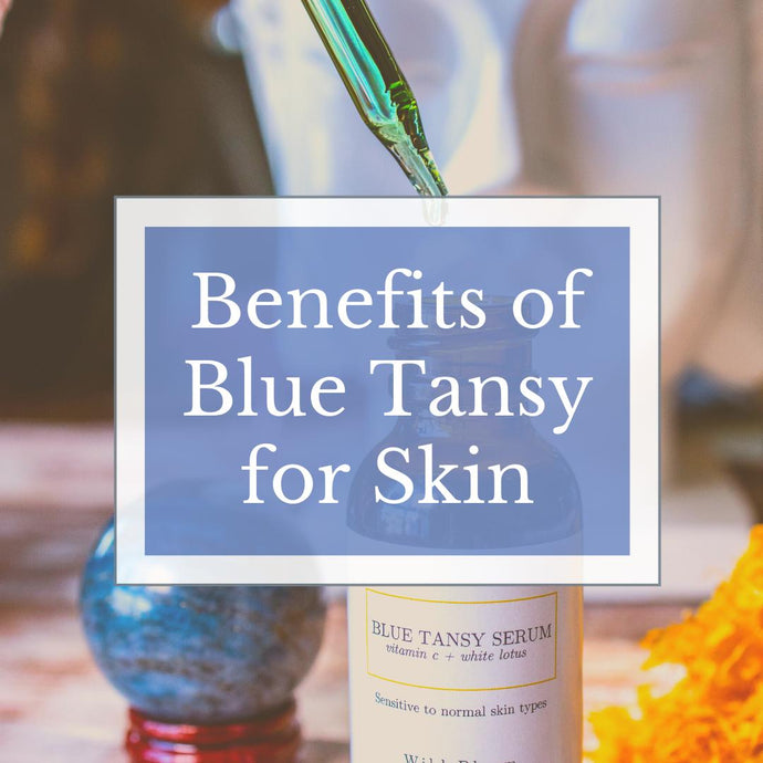 Benefits Of Blue Tansy For Skin