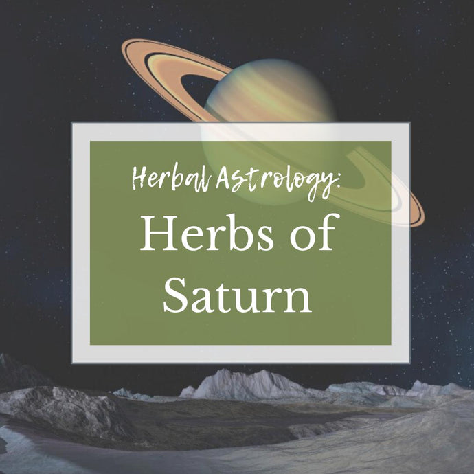 Herbal Astrology: Herbs Of Saturn
