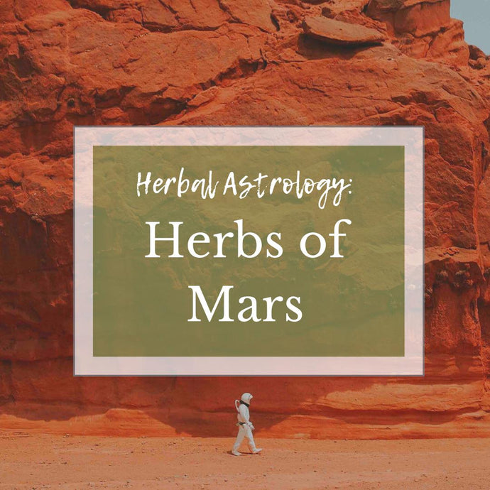 Herbal Astrology: Herbs Of Mars