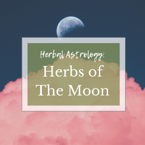 New Moon Herbs | Herbal Astrology: Herbs Of The Moon