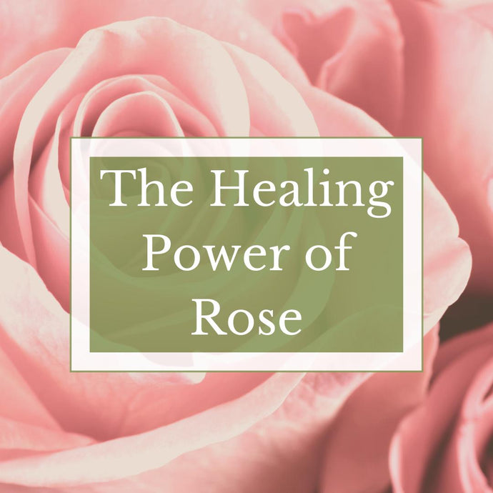 The Healing Power of Rose