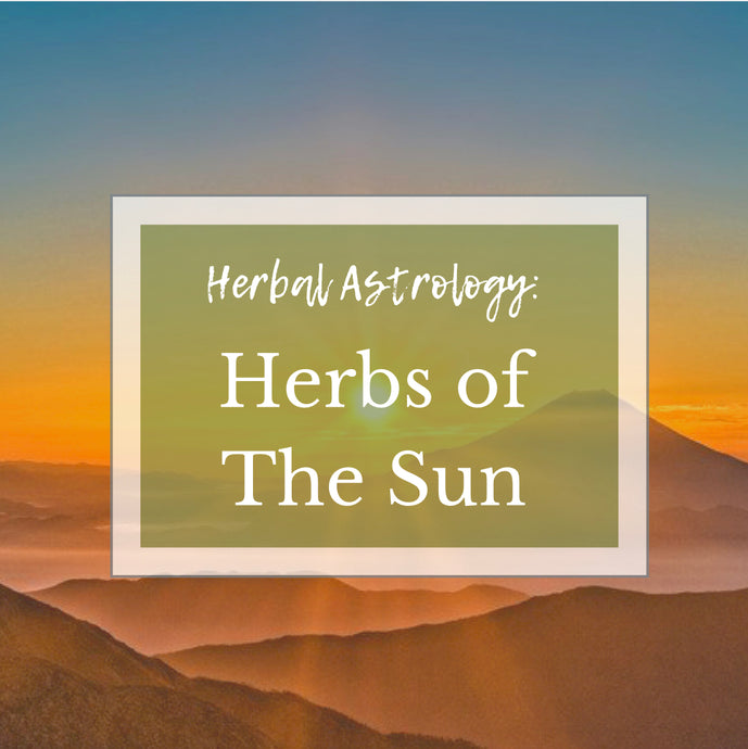 Herbal Astrology: Herbs Of The Sun
