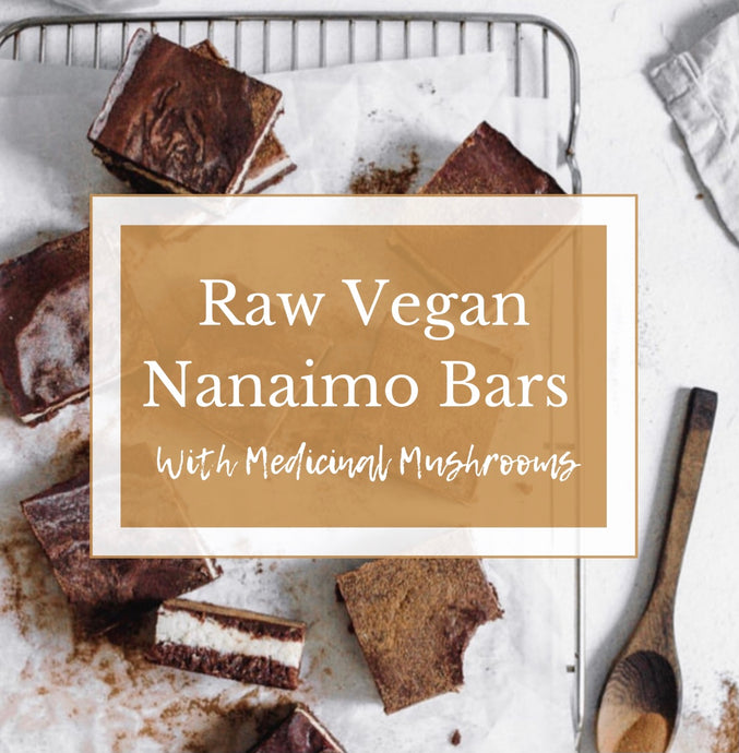 Raw Vegan Nanaimo Bars