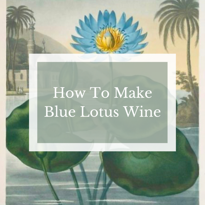 How To Make Your Own Blue Lotus Wine